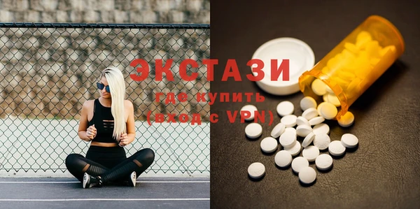 ECSTASY Бородино